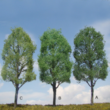 model trees